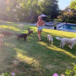 Meet your Posher, Lissy